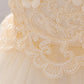 Toddler Beaded Flower Party Dress