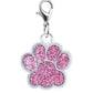 Paw Print Pet Charms