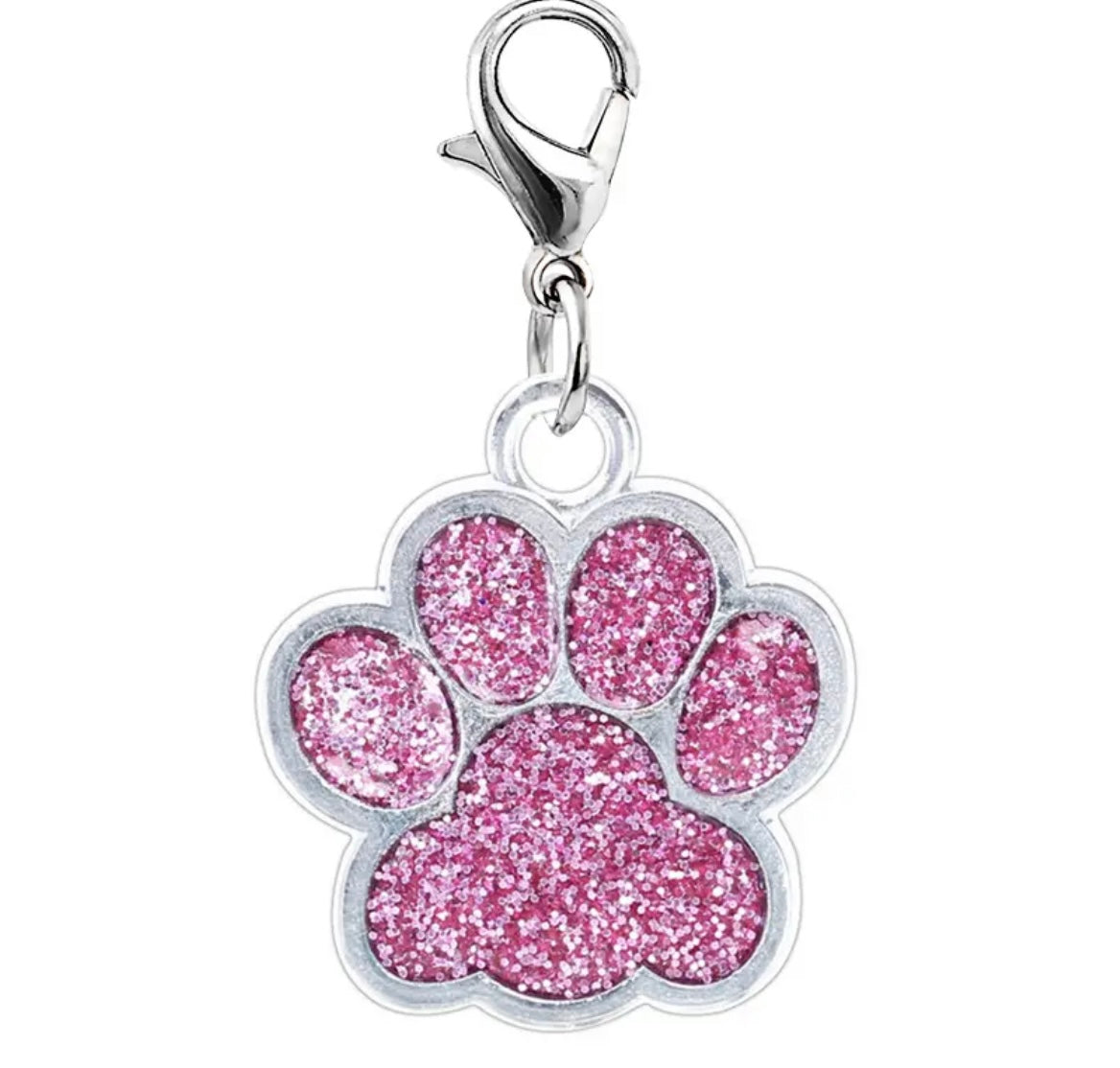 Paw Print Pet Charms