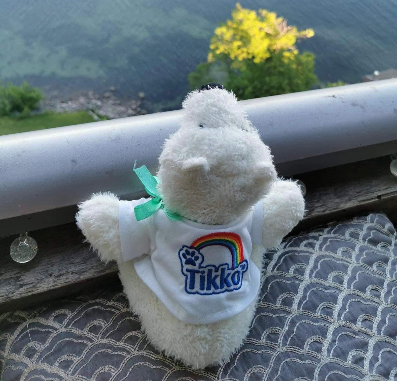 Tikko Travel Bear - Help Raise Autism Awareness!