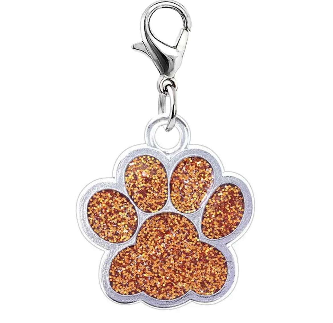 Paw Print Pet Charms