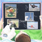 "TIKKO TRAVELS Dorian's Story" Storybook
